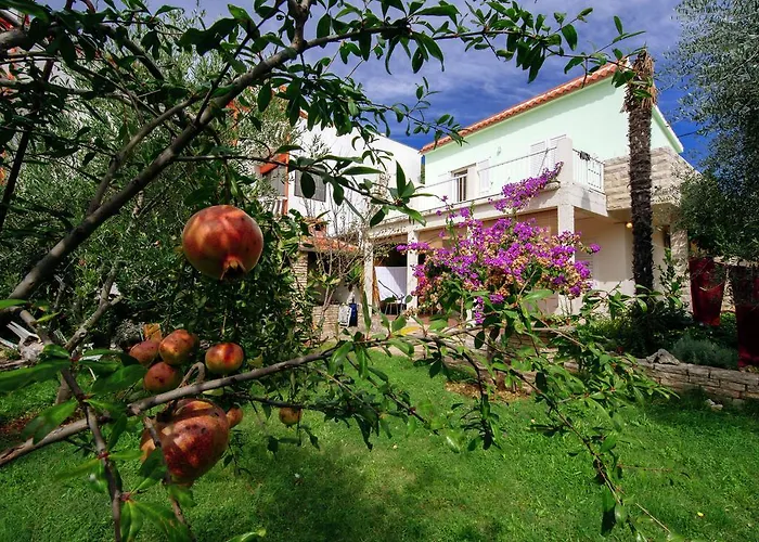 Apartment Maslina