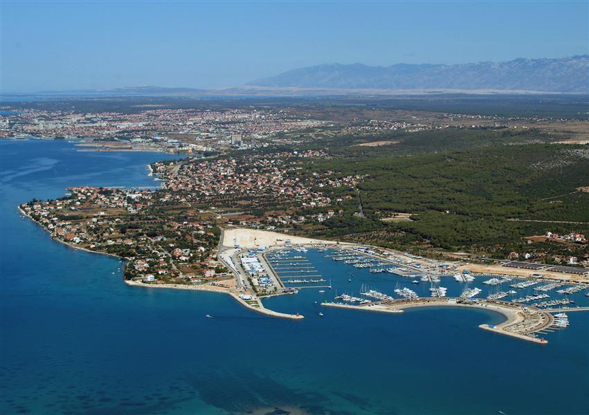 Maslina Bibinje