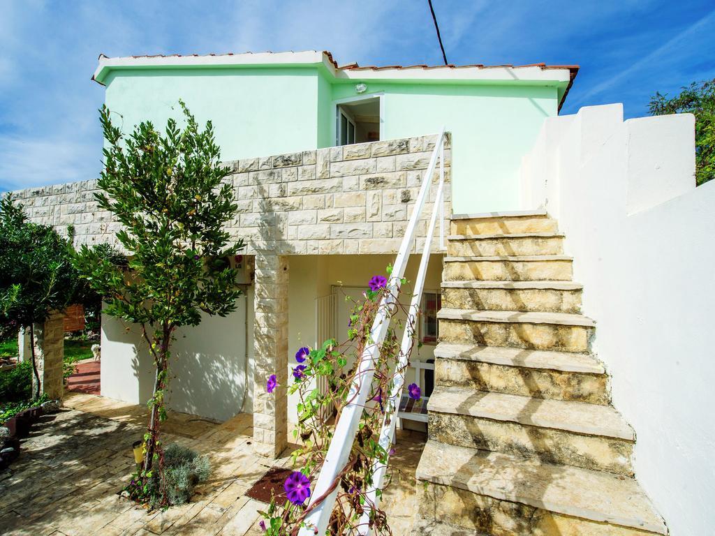Maslina Bibinje