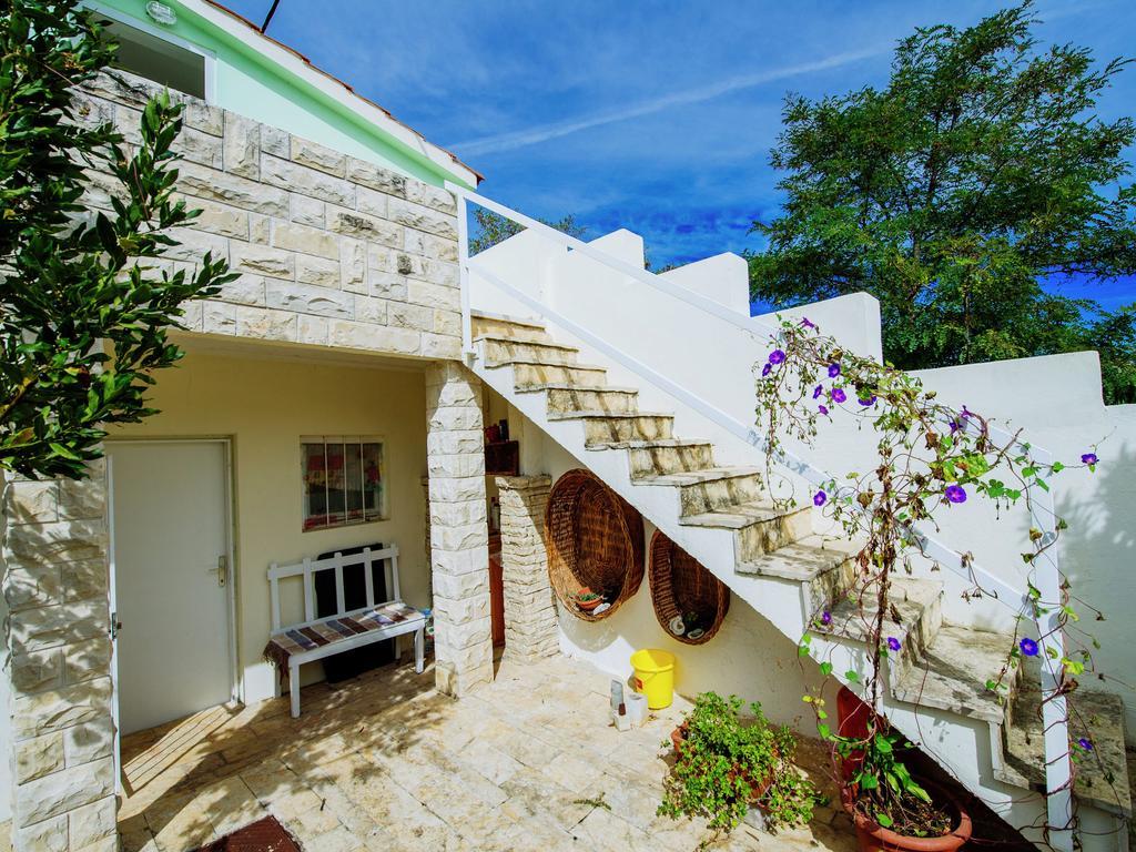 Apartment Maslina *