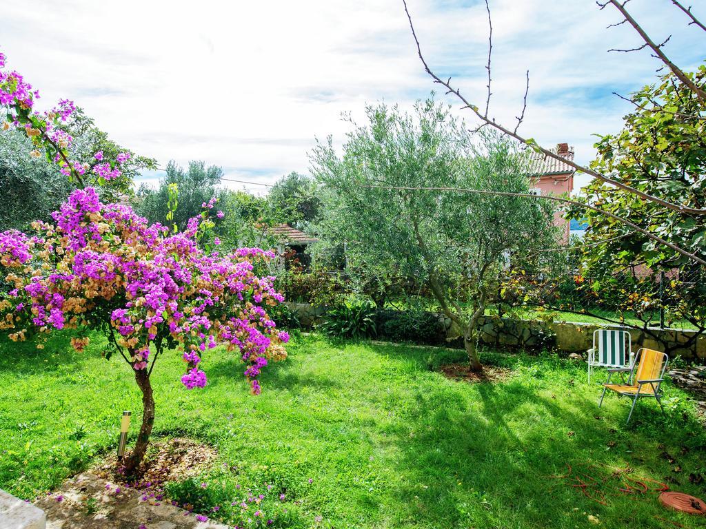 Apartmán Maslina *
