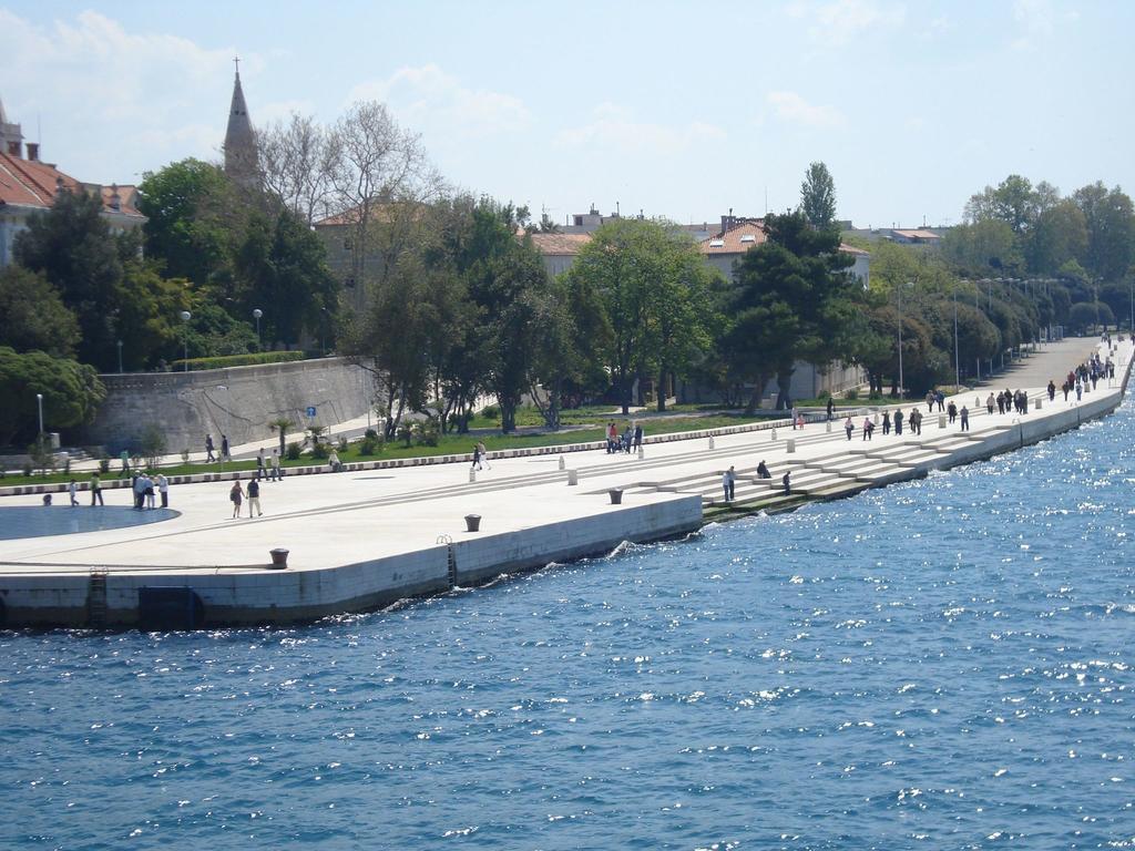 Maslina Bibinje
