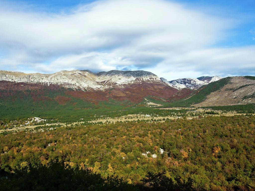 Apartmán Maslina