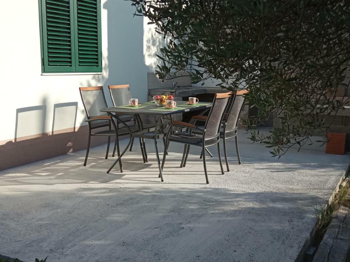 Apartment Maslina Bibinje