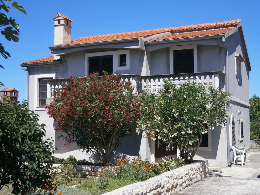 Apartment Maslina