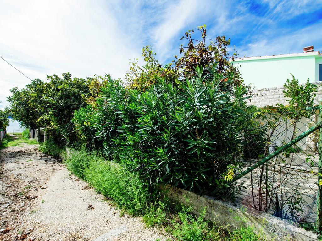 Maslina Apartment *